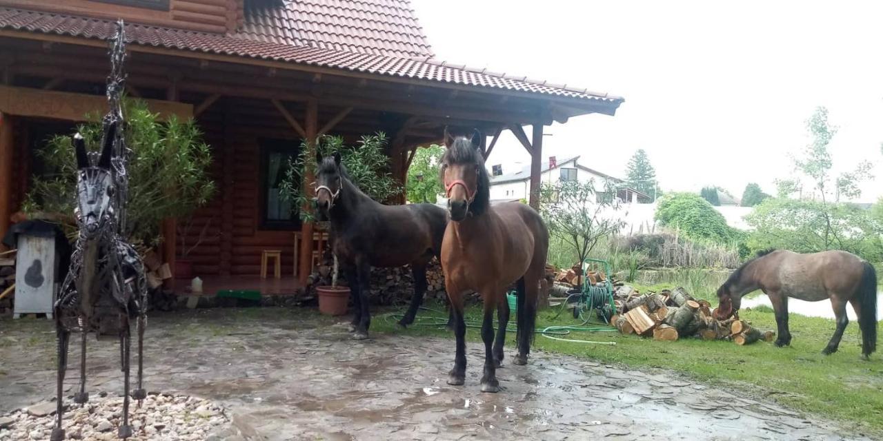 Hotel Dom Argyelus - Argyelus Haz - Fesztypark Martovce Exteriér fotografie
